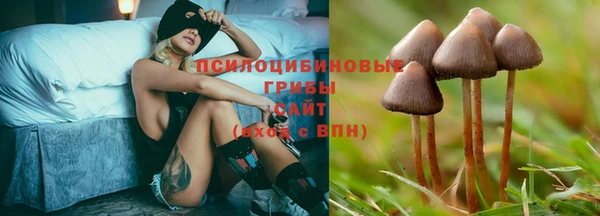 синтетический гашиш Богданович