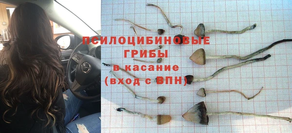 эйфоретик Богородск