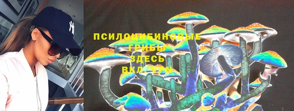синтетический гашиш Богданович