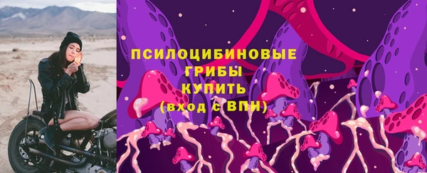 эйфоретик Богородск