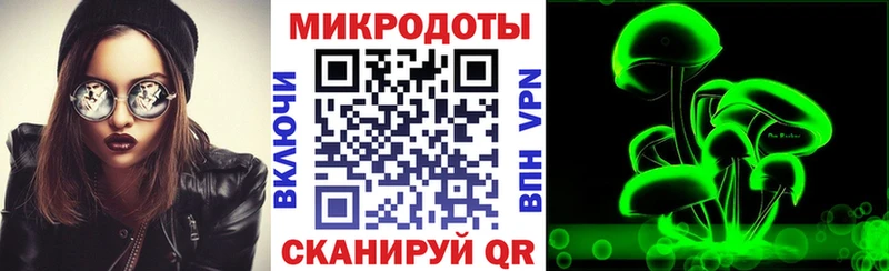 Галлюциногенные грибы Psilocybine cubensis  Ульяновск 